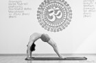Brahmana e Langhana Kriya - Kriya Yoga Ashram ®